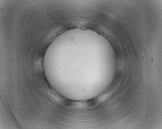 X0000060800286200511241918