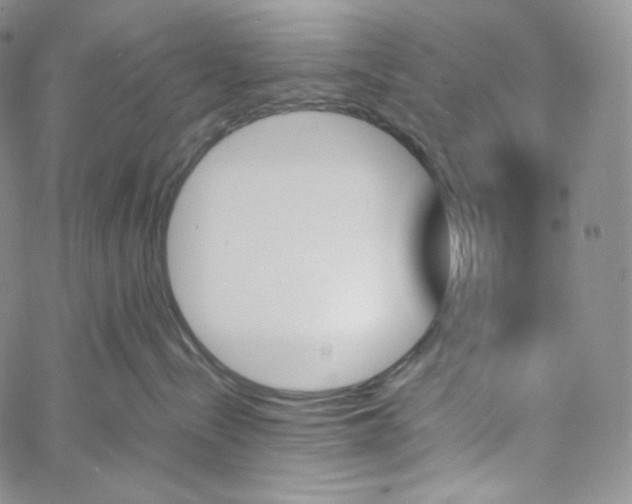 X0000060800288200511241918