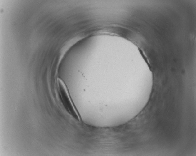 X0000060800289200511241917