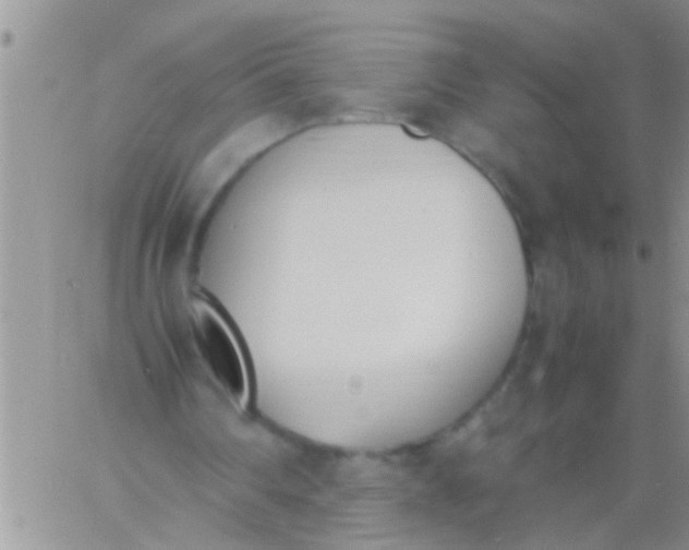 X0000060800290200511241917