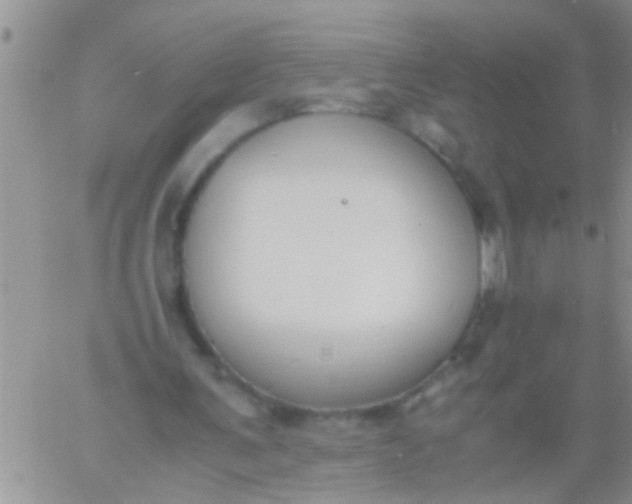 X0000060800291200511241917