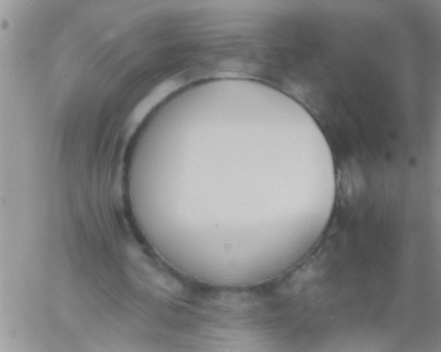 X0000060800292200511241917