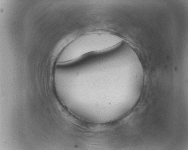 X0000060800293200511241917