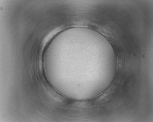 X0000060800294200511241917