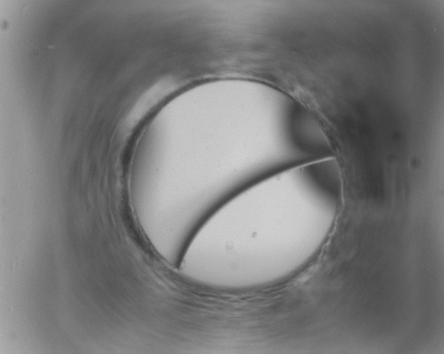 X0000060800295200511241917