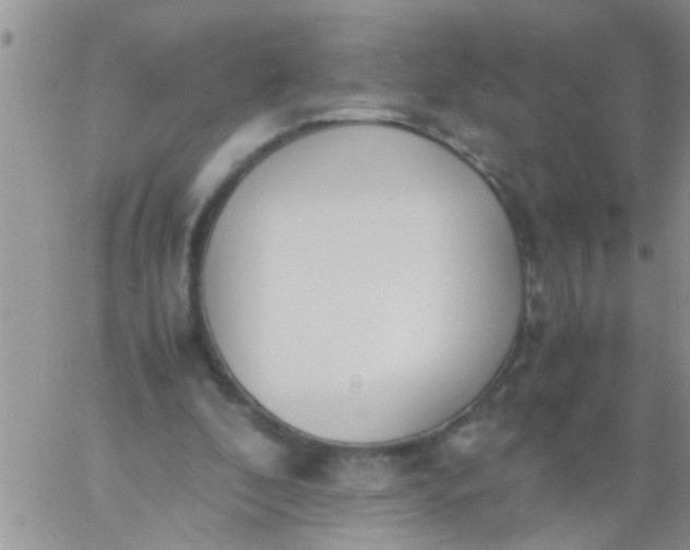 X0000060800296200511241917