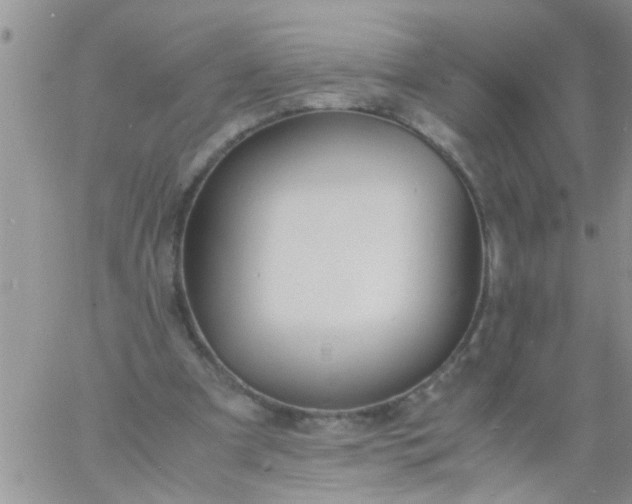 X0000060800297200511241917