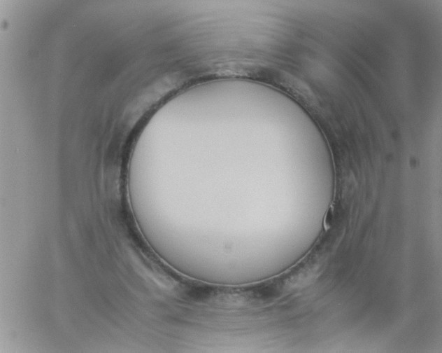 X0000060800299200511241917