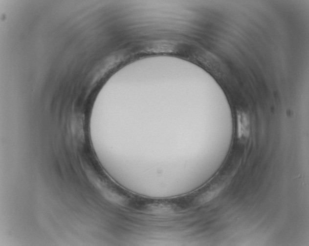 X0000060800300200511241917