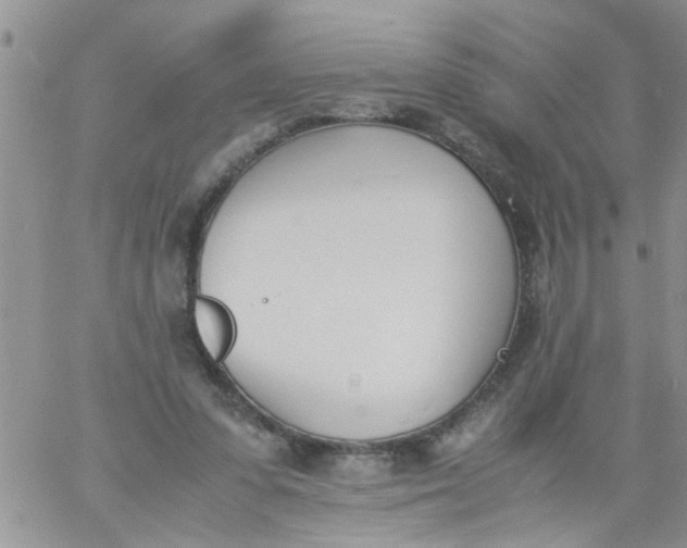 X0000060800303200511241917