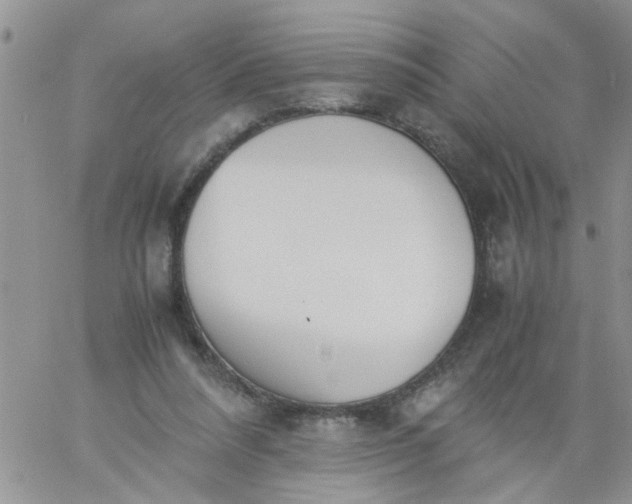 X0000060800304200511241917