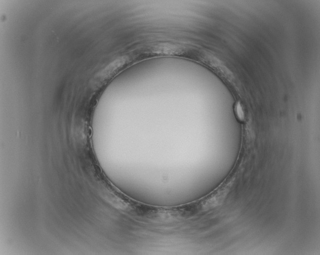 X0000060800305200511241917