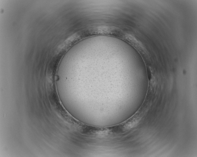 X0000060800306200511241917