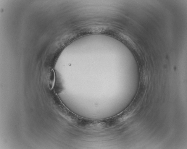 X0000060800307200511241917