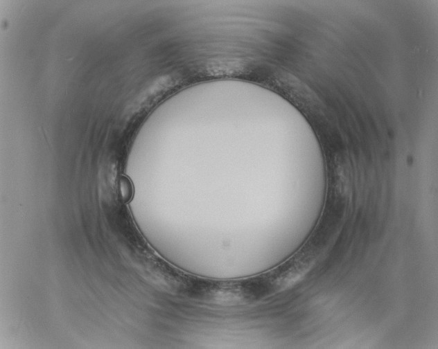 X0000060800308200511241917