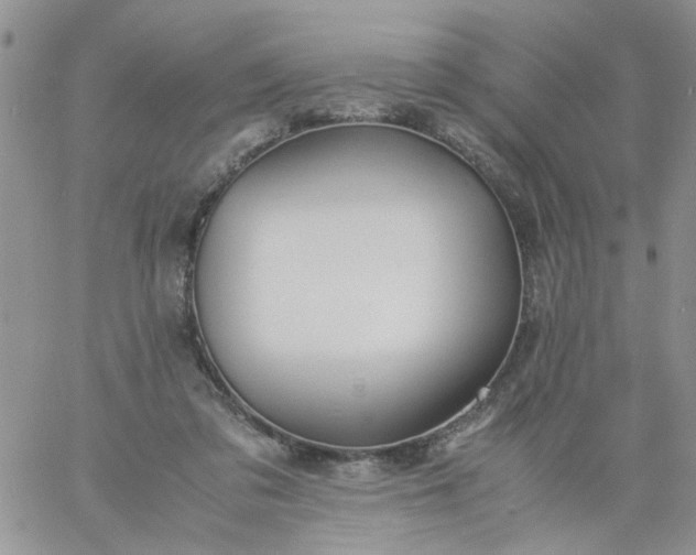 X0000060800309200511241917