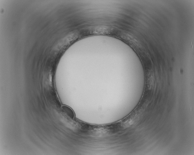 X0000060800310200511241917