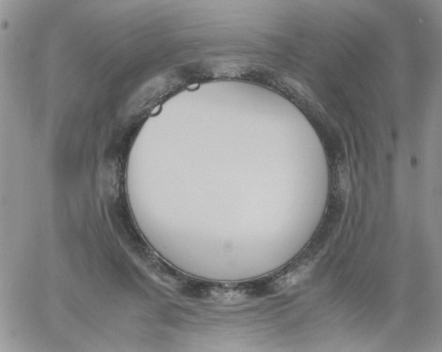 X0000060800311200511241917