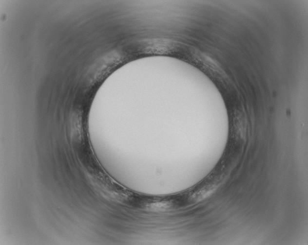 X0000060800312200511241917