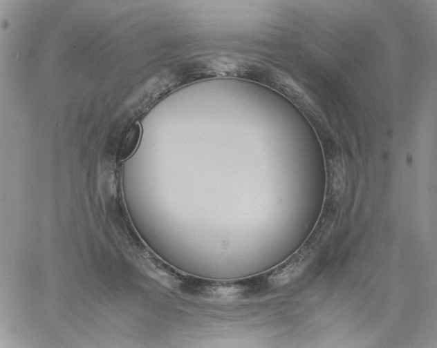 X0000060800313200511241917