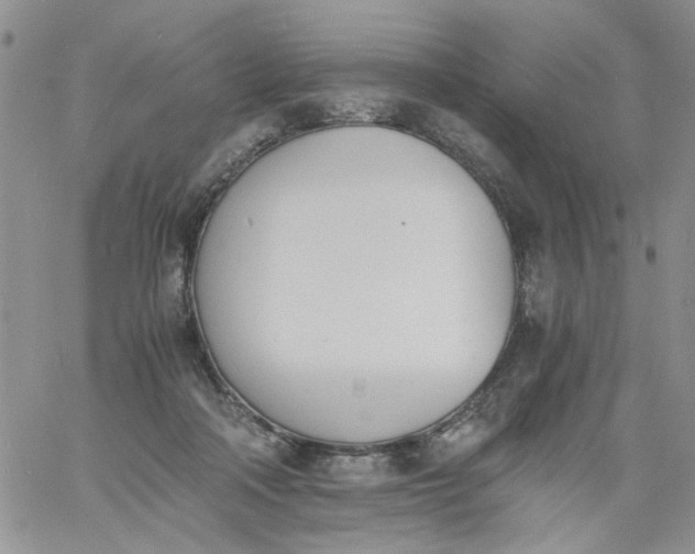 X0000060800314200511241917