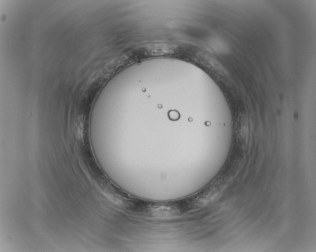 X0000060800315200511241917