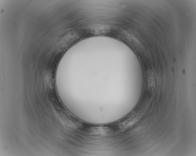 X0000060800316200511241917