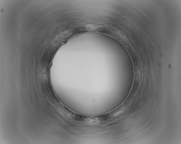 X0000060800317200511241917