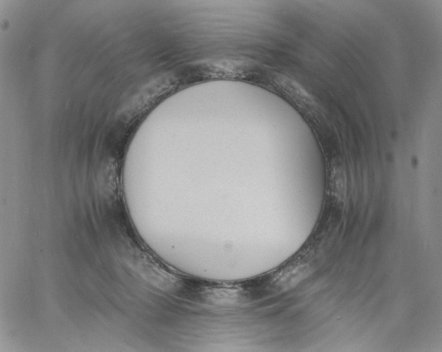 X0000060800318200511241917