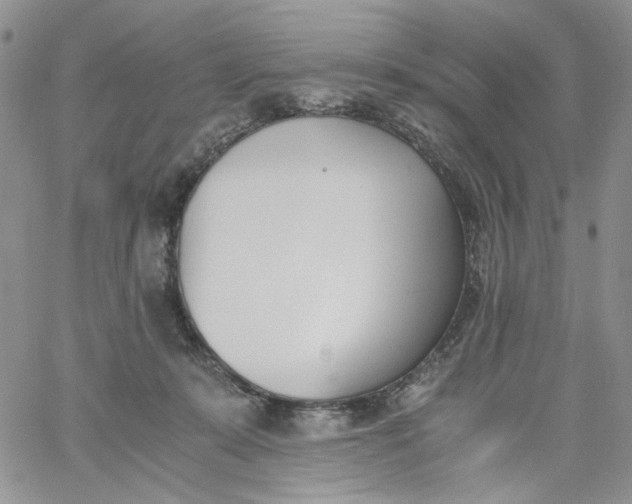 X0000060800319200511241917