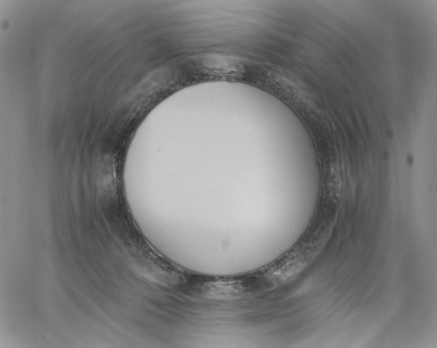 X0000060800320200511241917