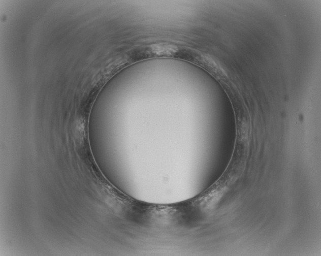 X0000060800321200511241917