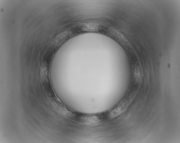 X0000060800322200511241917