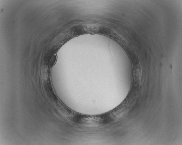 X0000060800323200511241917