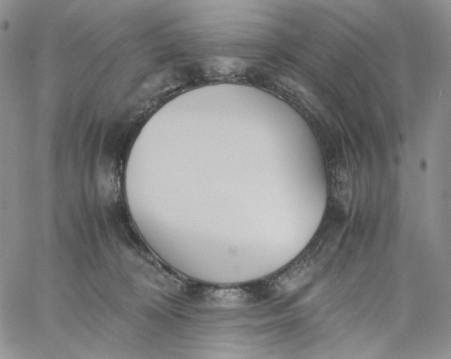 X0000060800324200511241917