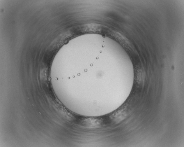 X0000060800326200511241917