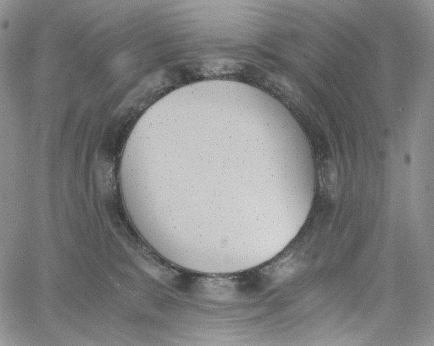 X0000060800327200511241917