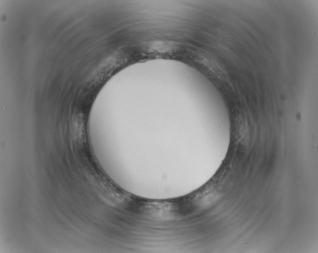 X0000060800328200511241916