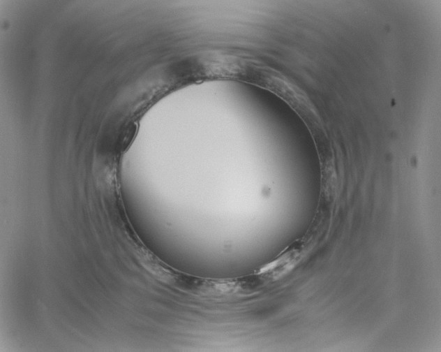 X0000060800329200511241916