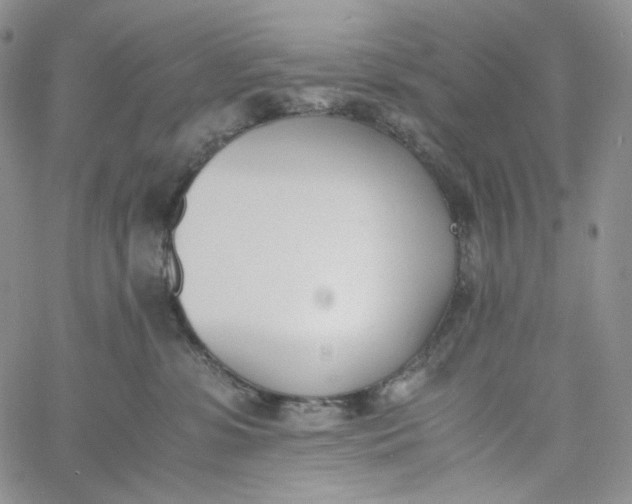 X0000060800331200511241916