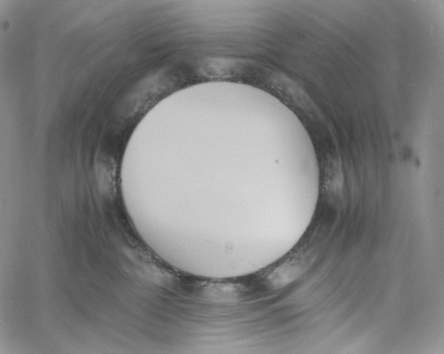 X0000060800332200511241916