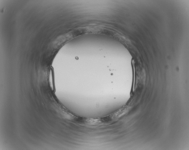 X0000060800333200511241916