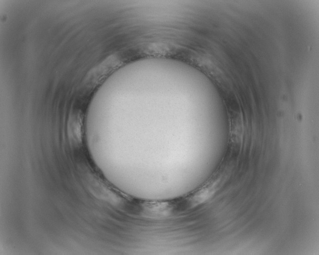 X0000060800334200511241916