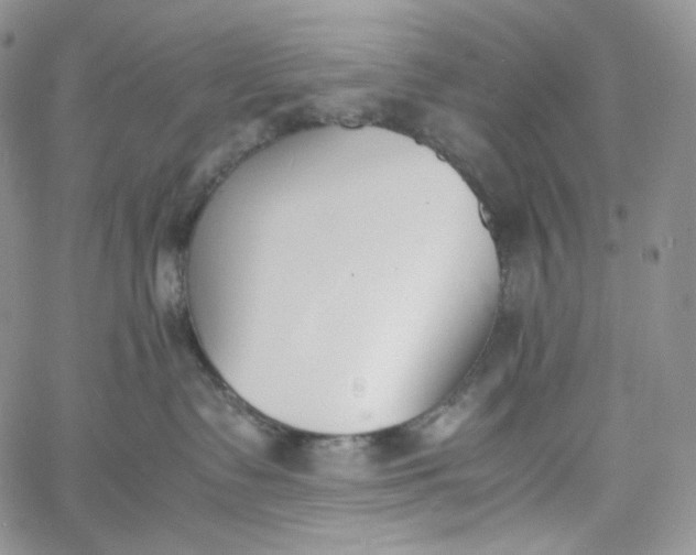 X0000060800335200511241916