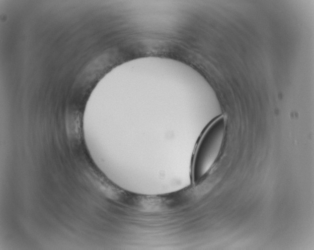 X0000060800336200511241916