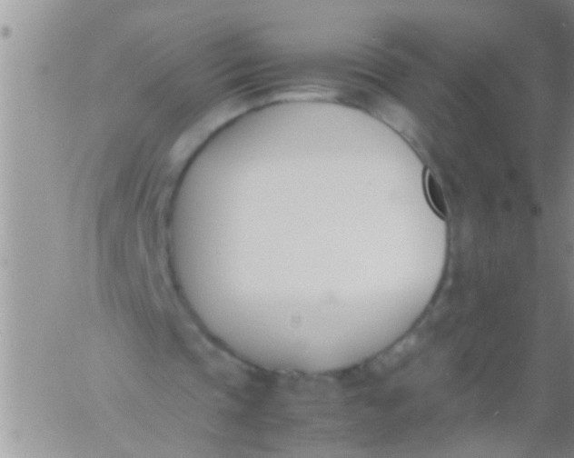 X0000060800337200511241916