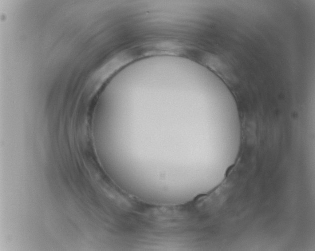 X0000060800338200511241916