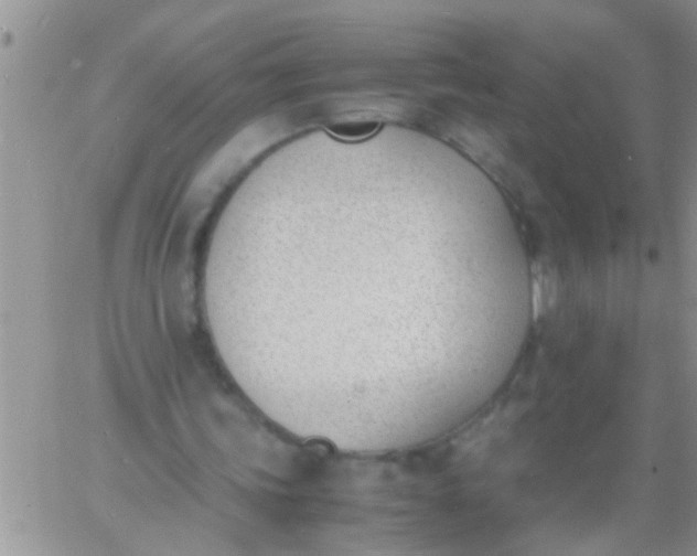 X0000060800339200511241916