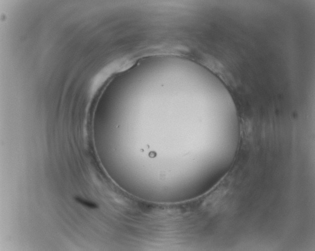 X0000060800340200511241916