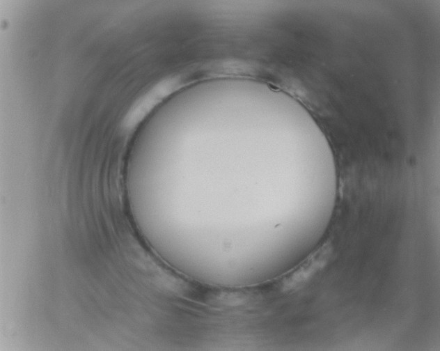 X0000060800341200511241916